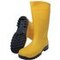 PVC Boot